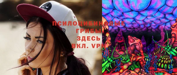 apvp Балабаново