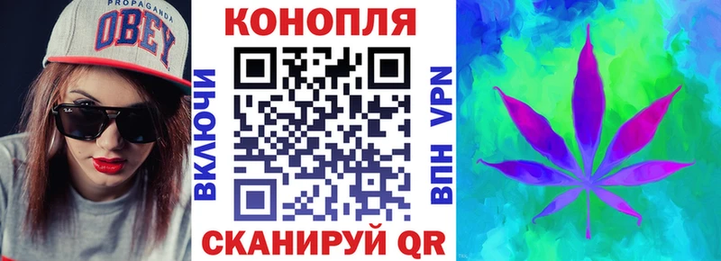 Бошки марихуана марихуана  Волосово 